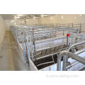 SowChoice Farrowing Floor Nuovi materiali